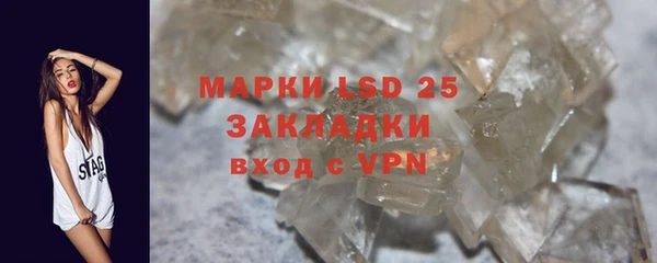 PSILOCYBIN Верея