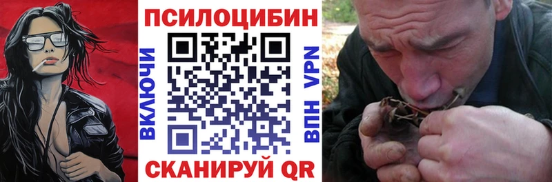 Галлюциногенные грибы Psilocybine cubensis где можно купить Луза